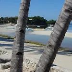 The Shark\'S Tail Dive Center