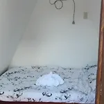 Little Mouse Resort