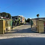 Mango Prima