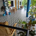 Happy Bear Moalboal Budget Rooms