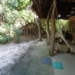 Sea Turtle House Moalboal