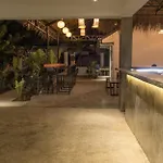 Wild Monkeys Hostel