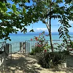 Nature Seaview