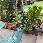 The Balete Resthouse