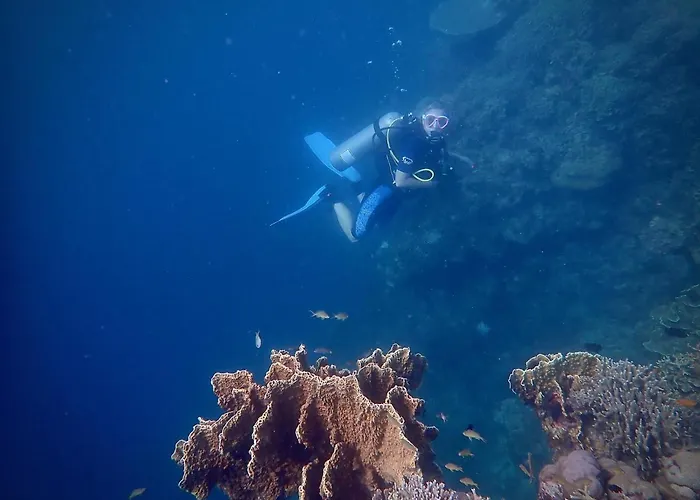 Alegria Dive Resort