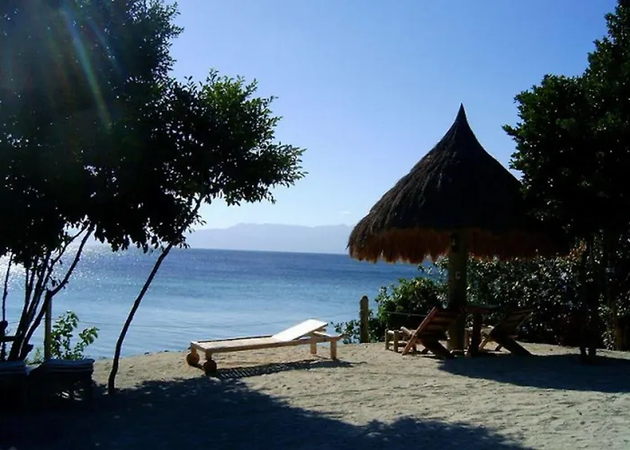 Sea Turtle House Moalboal