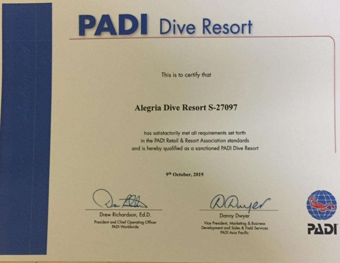 Alegria Dive *