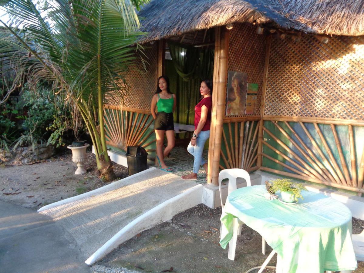 Sea Turtle House