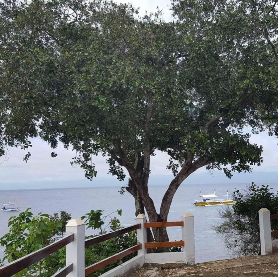 Resort Pescador View - Beachfront & By The Ocean Hostels & Restaurant Moalboal Moalboal