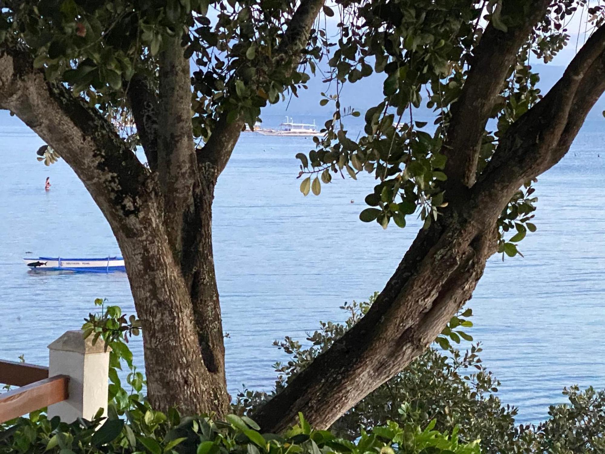 Pescador View - Beachfront & By The Ocean Hostels & Restaurant Moalboal Resort Moalboal
