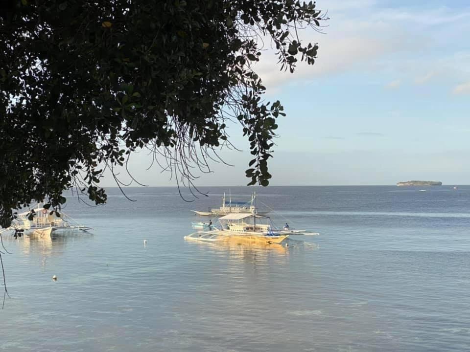 Resort Pescador View - Beachfront & By The Ocean Hostels & Restaurant Moalboal Moalboal