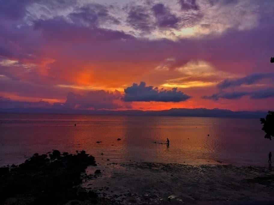 Pescador View - Beachfront & By The Ocean Hostels & Restaurant Moalboal