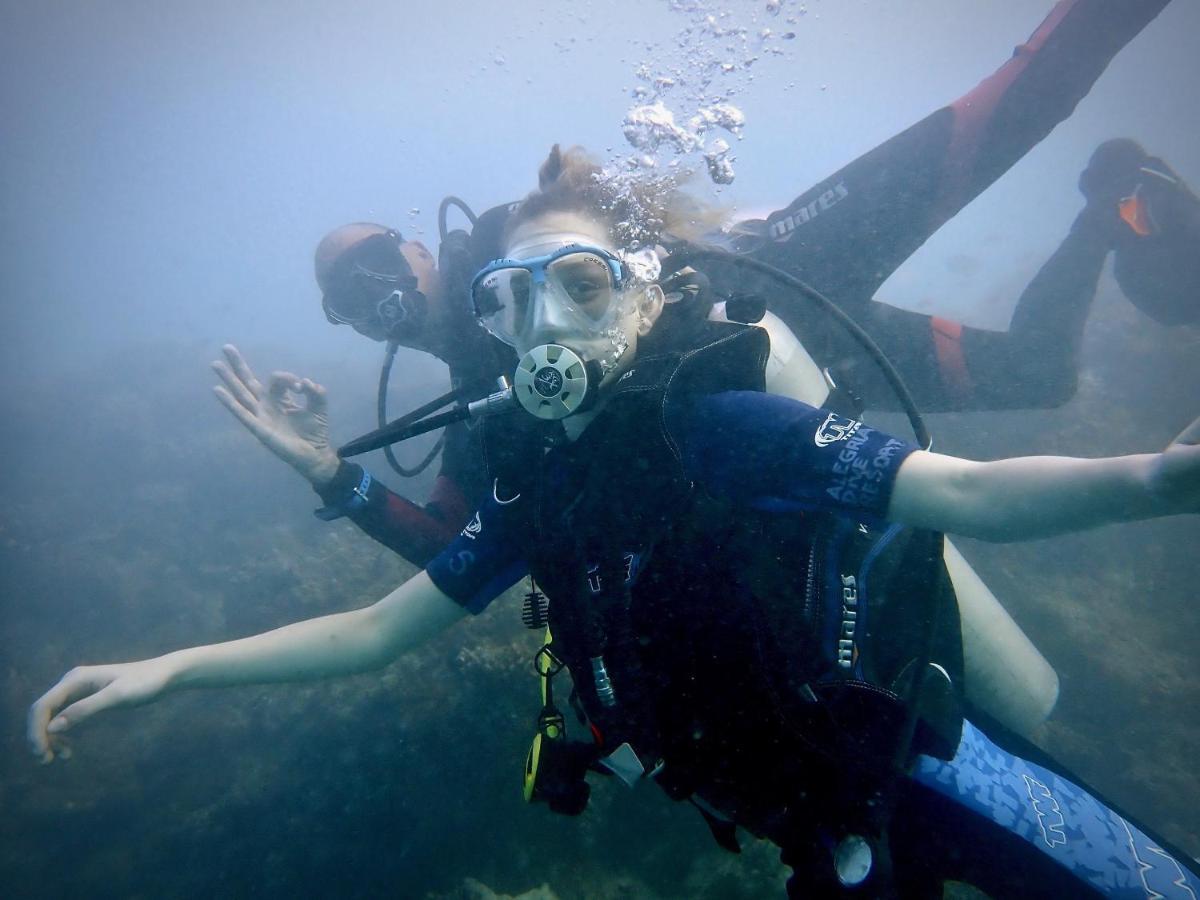 Alegria Dive
