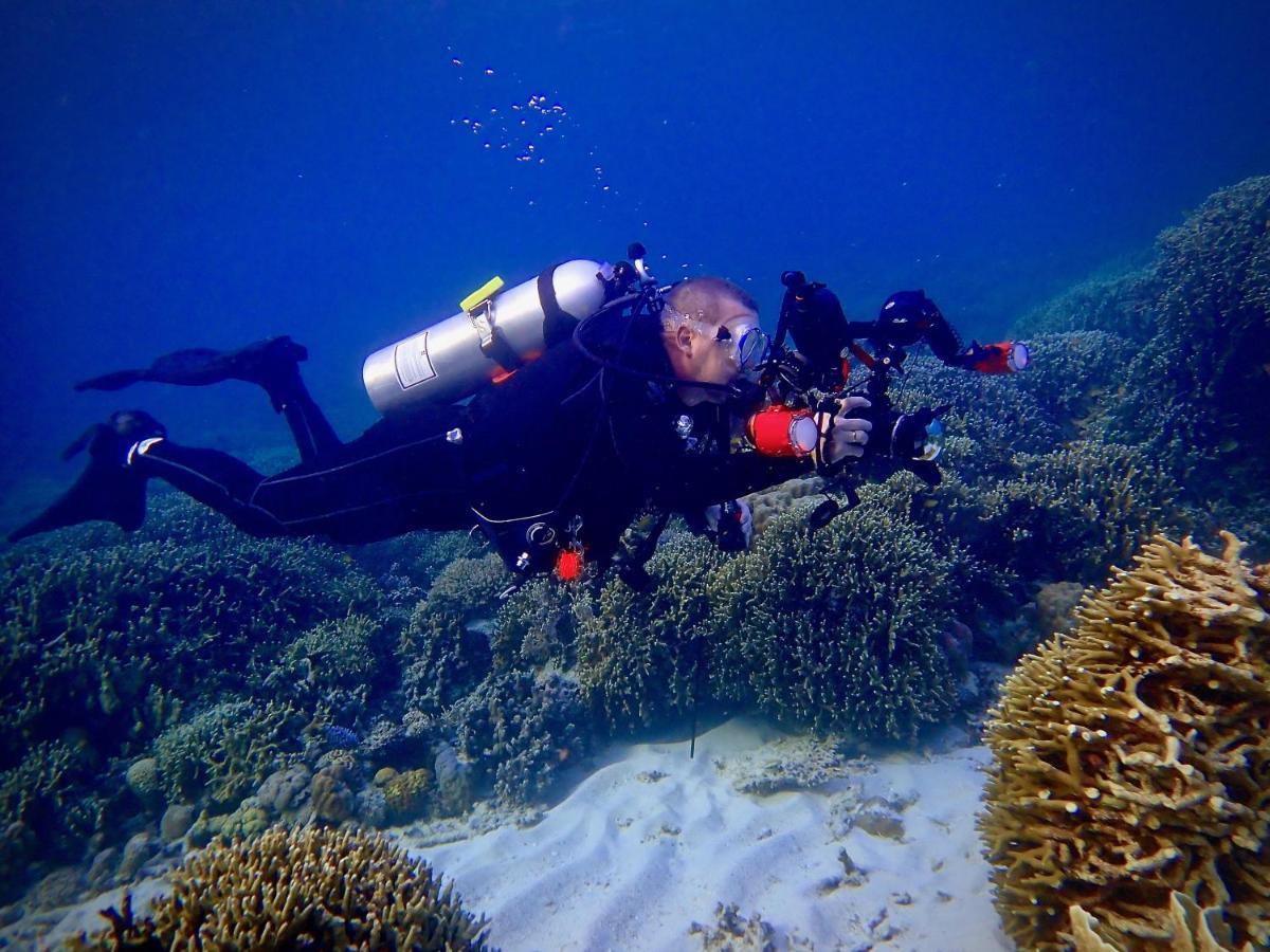 Alegria Dive Alegria (Cebu)