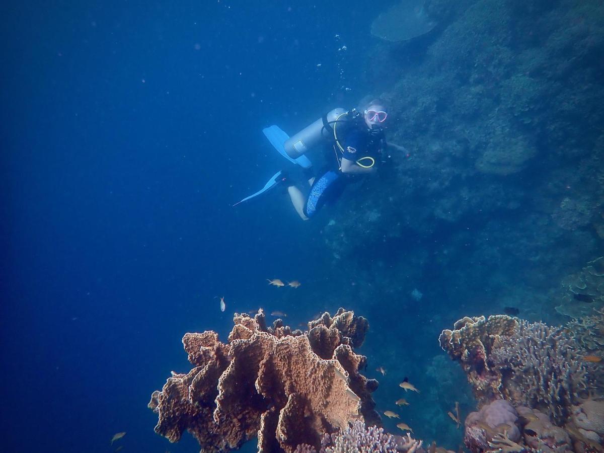 Alegria Dive *