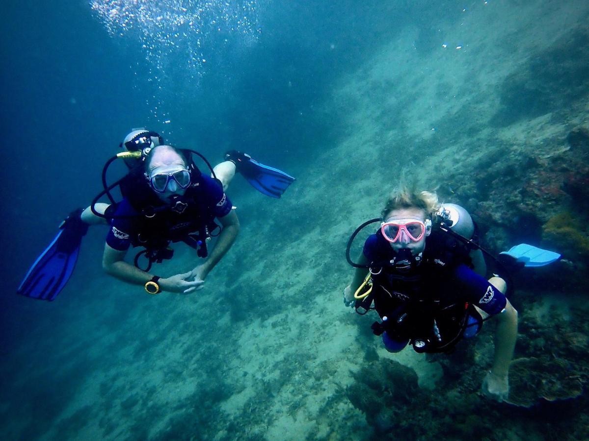 Hostel Alegria Dive Alegria (Cebu)