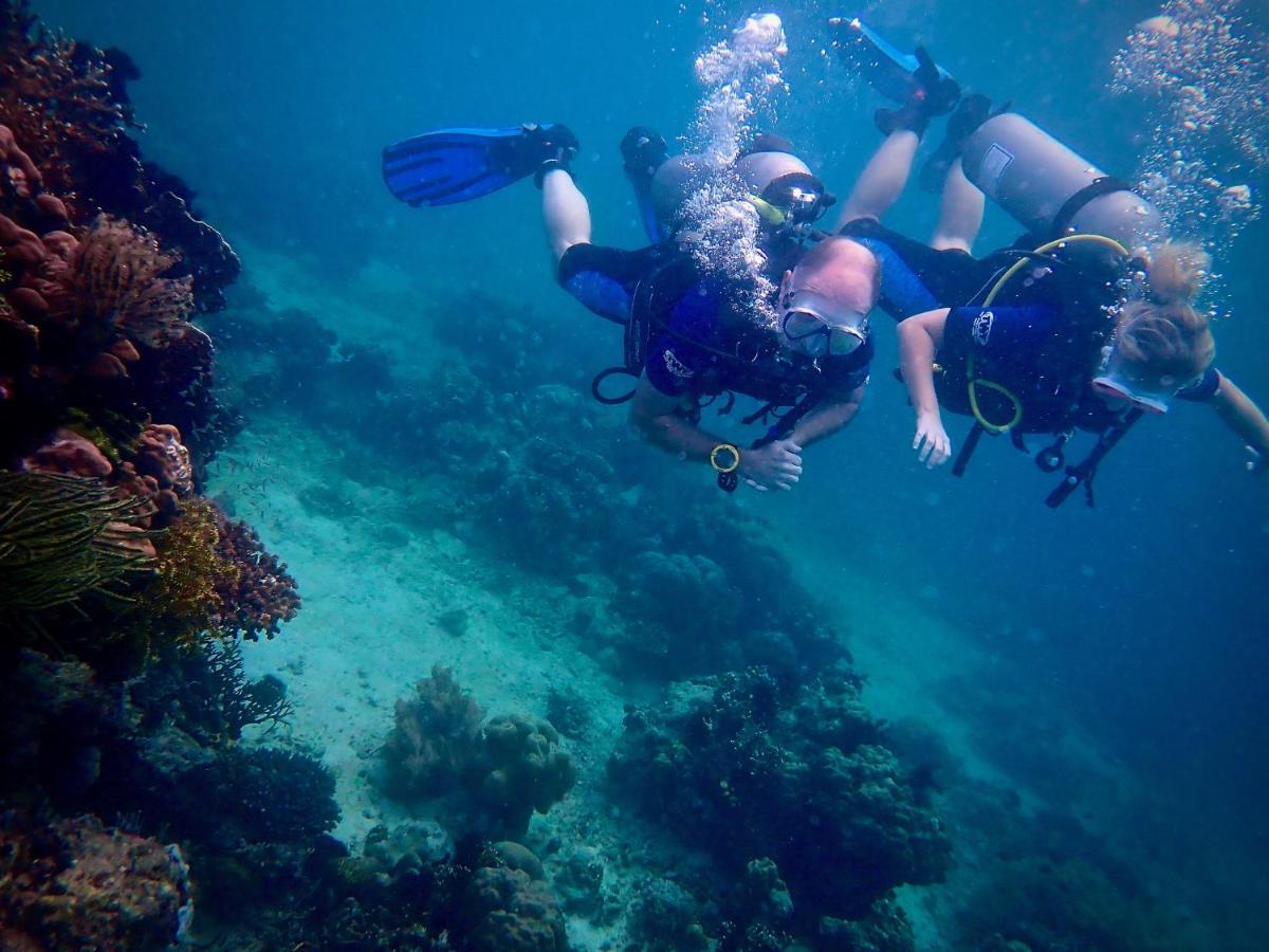 Alegria Dive