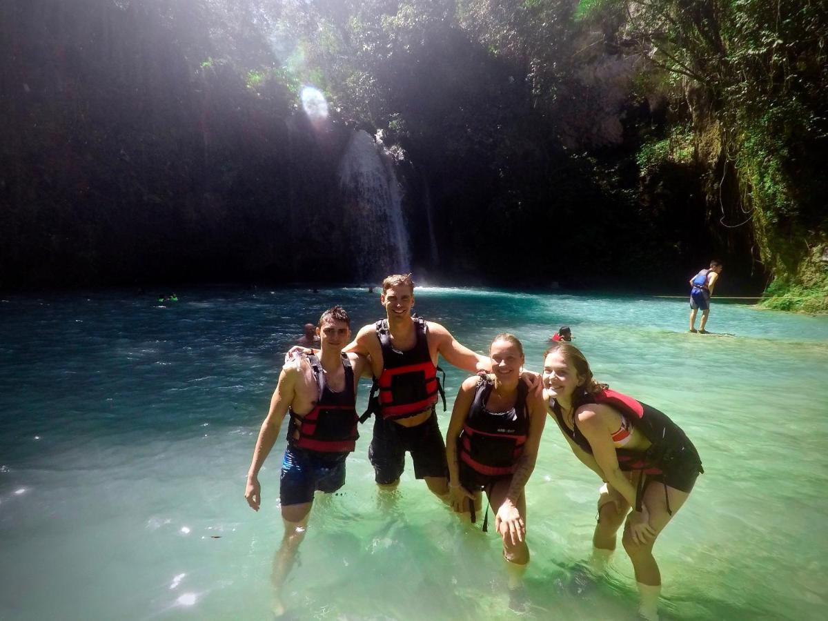 Alegria Dive *