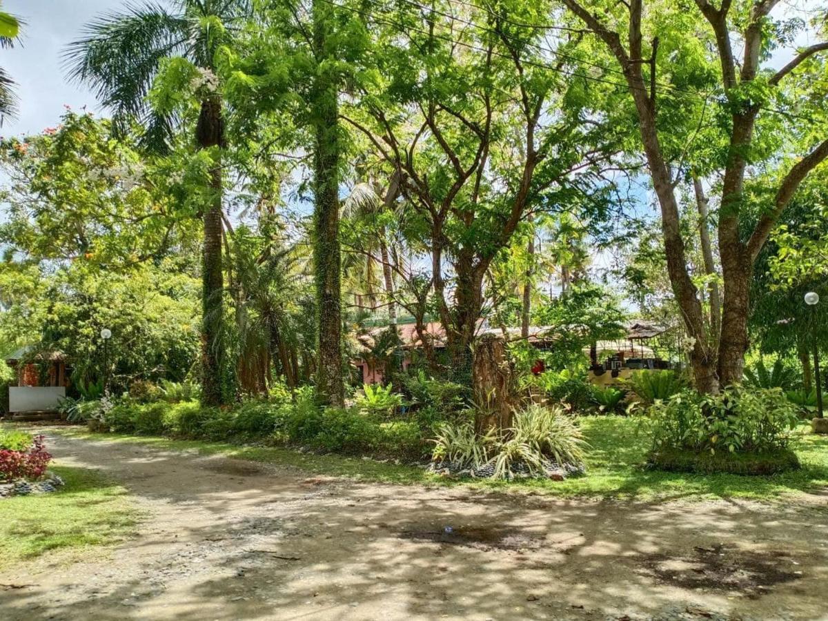 Hotel Reddoorz @ Costa Roca Balamban
