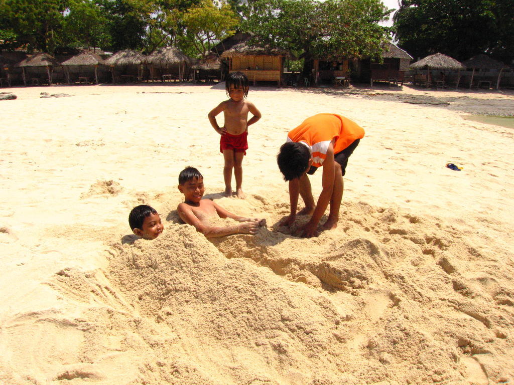 Guest house Sea Turtle House Moalboal