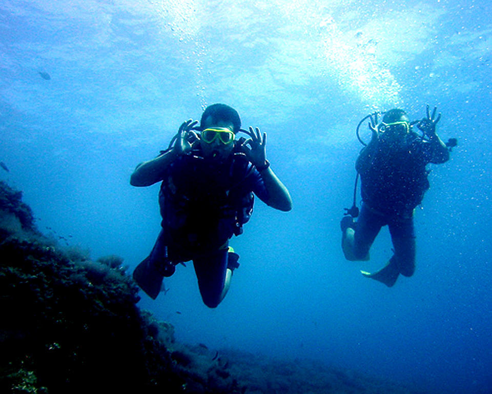 Guest house Sea Turtle House Moalboal