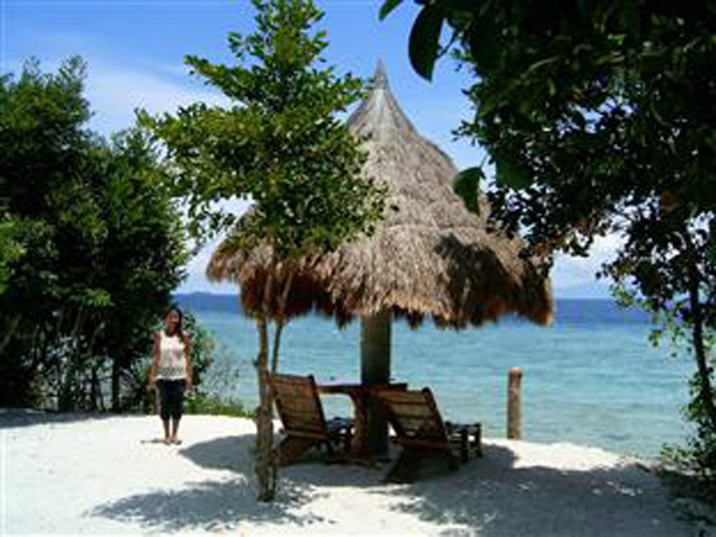 Sea Turtle House 3* Moalboal
