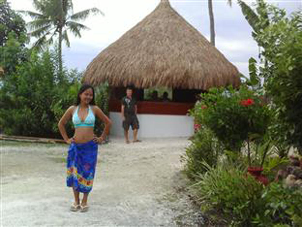 Guest house Sea Turtle House
