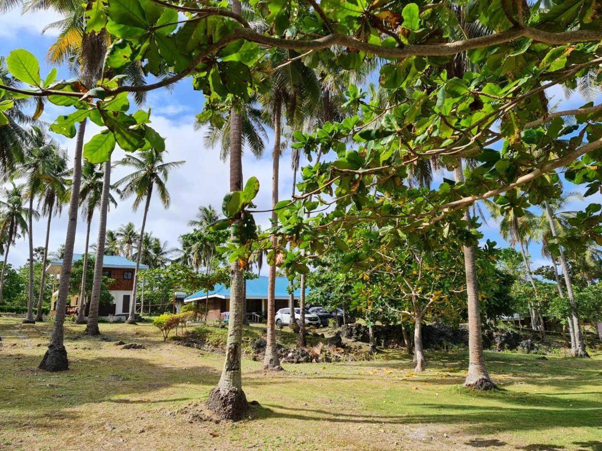 Homestay Camotes Palanas