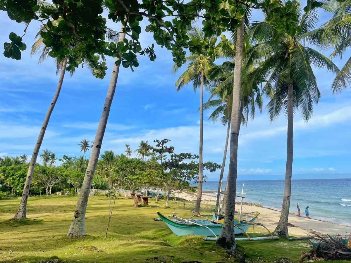 Camotes Palanas Himensulan