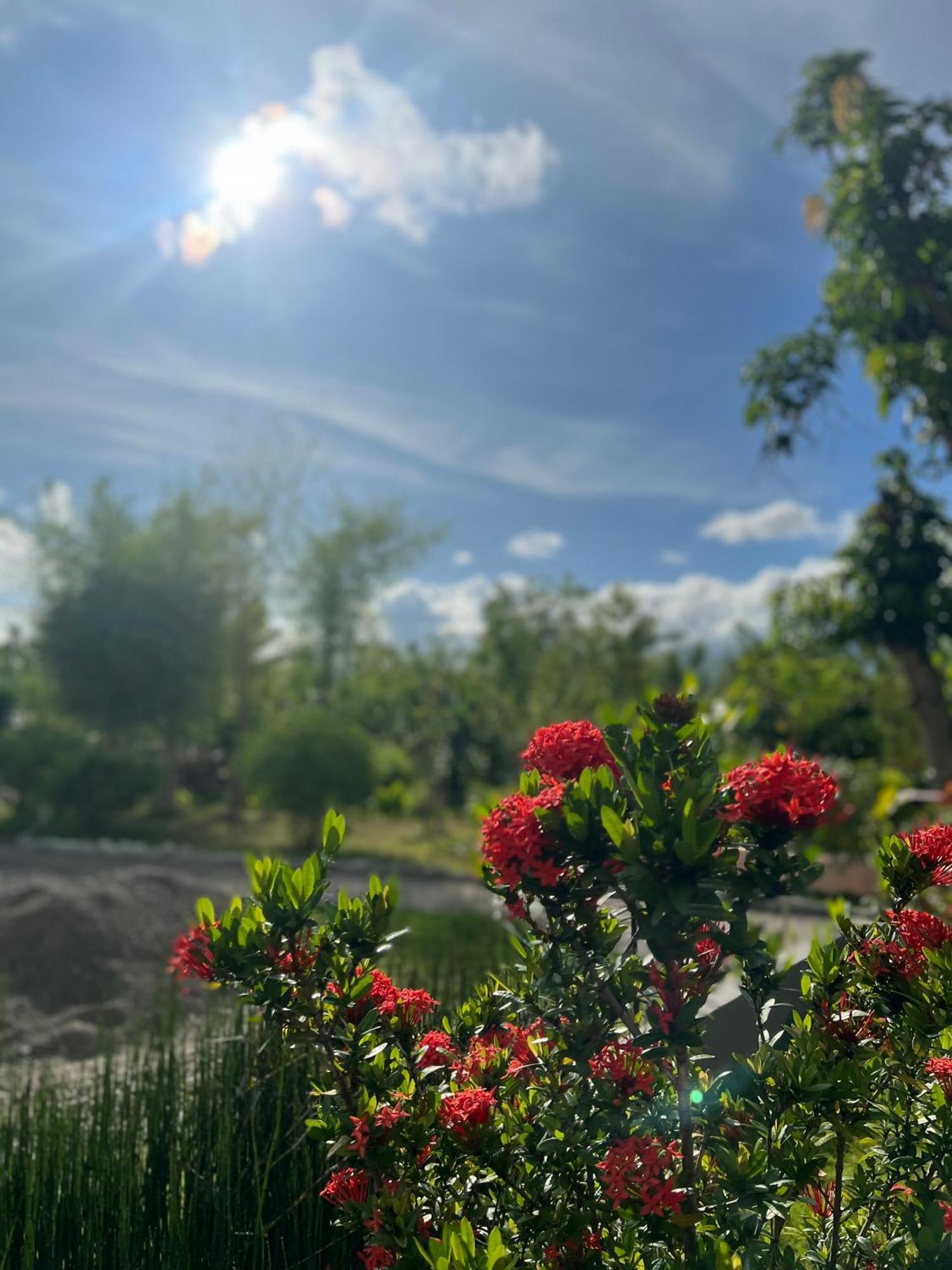 La Plumerias Resort