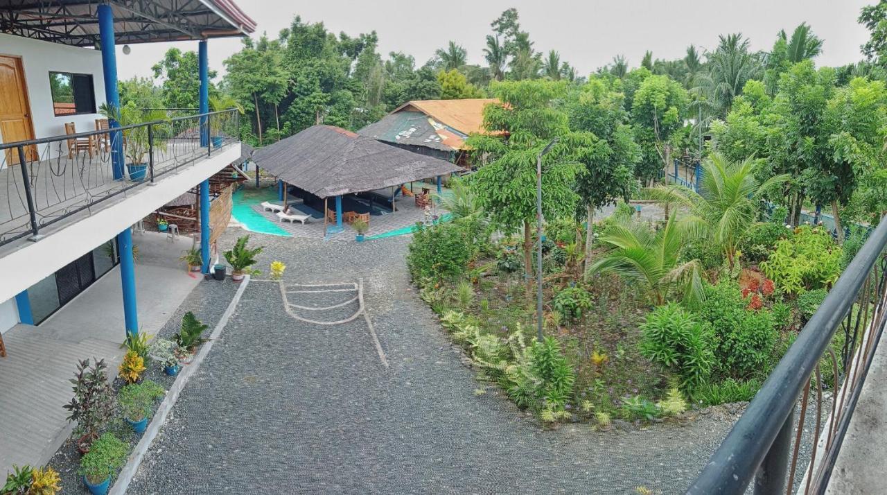 Guest house Happy Bear Budget