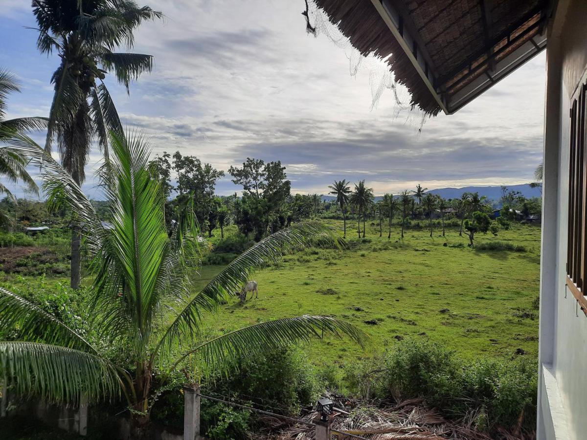 Guest house Palmera Palma Floor