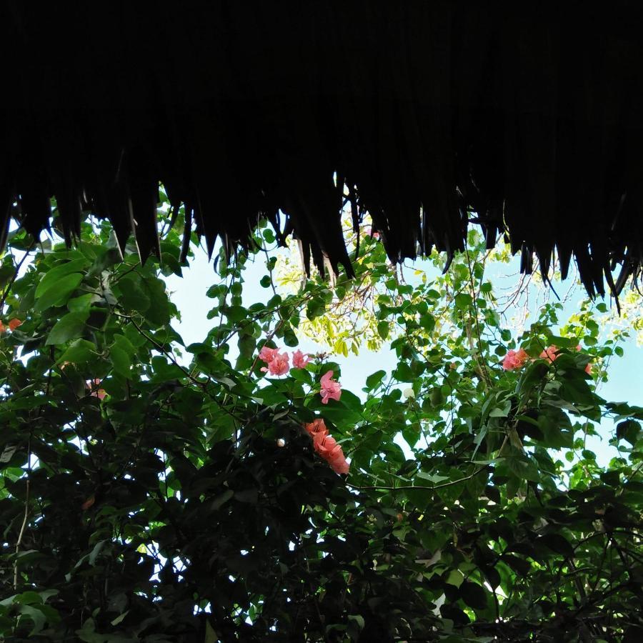 Pungko-pungko * Cebu