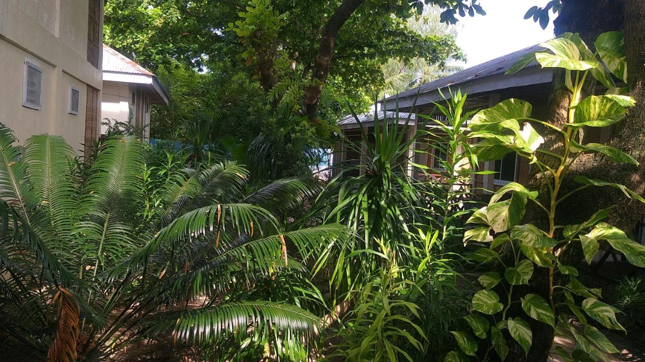 The Shark's Tail Dive Center Resort 3*