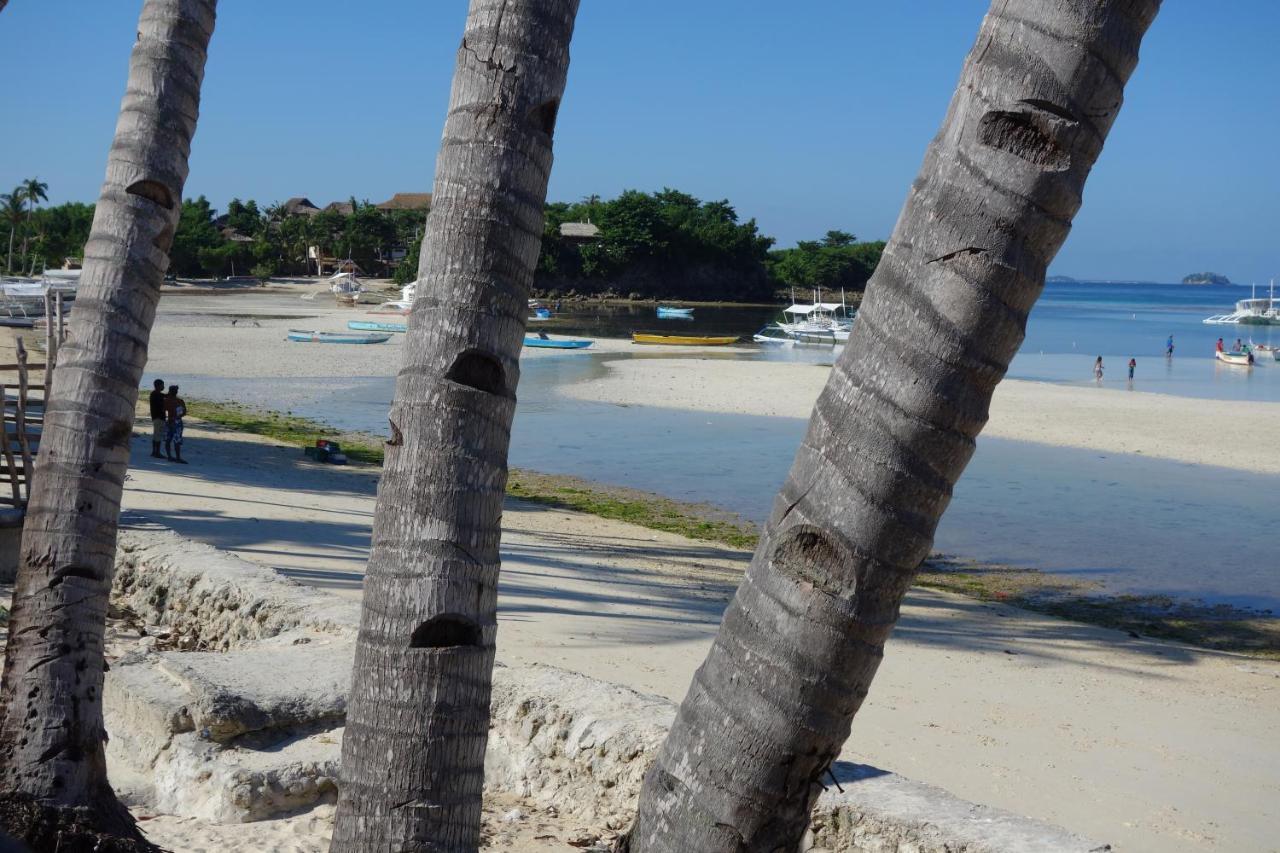 Resort The Shark's Tail Dive Center 3*