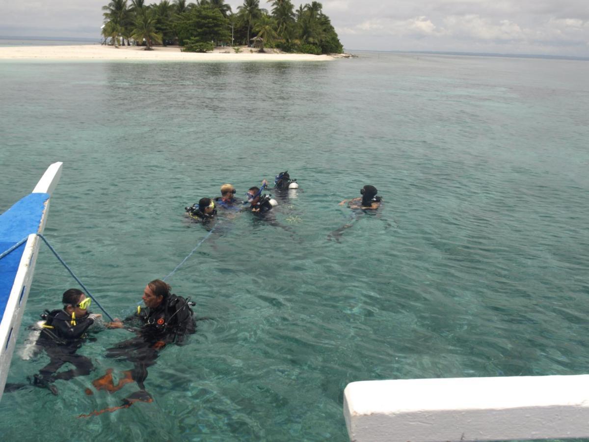 The Shark's Tail Dive Center Daanbantayan