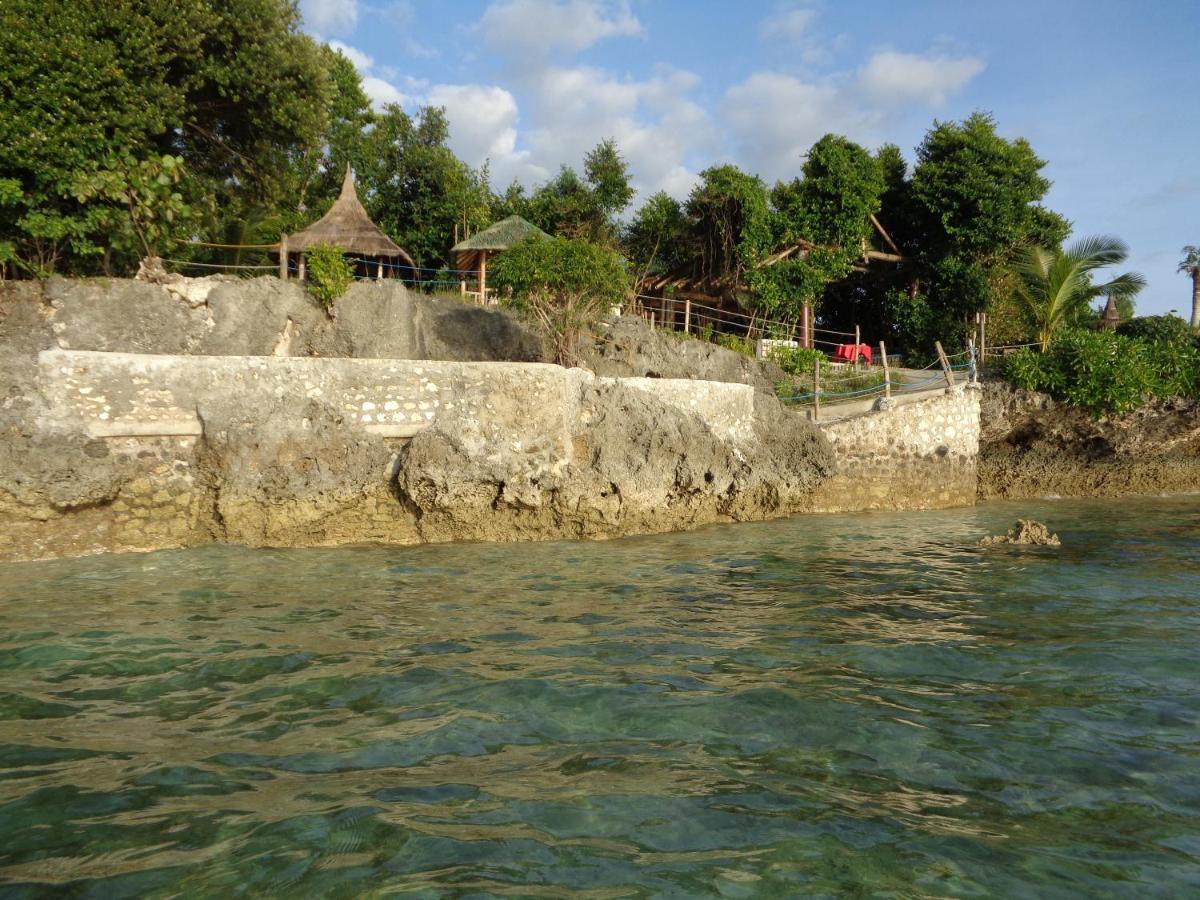 Sea Turtle House
