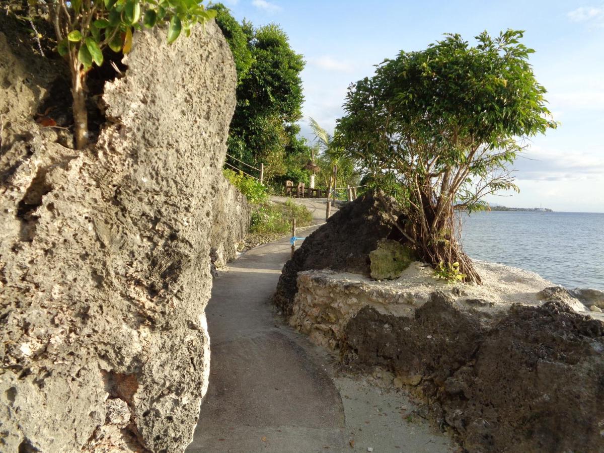Sea Turtle House Moalboal