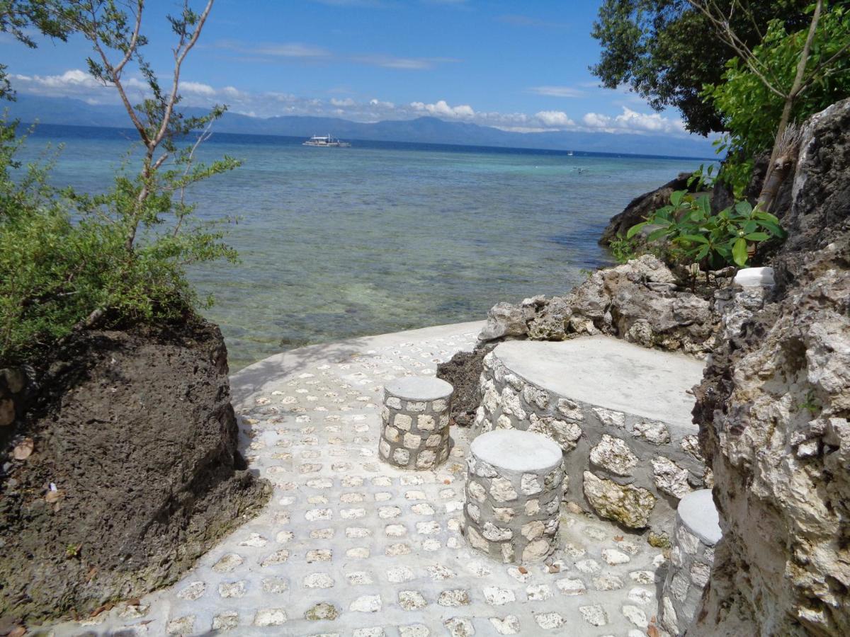 Sea Turtle House Guest house 3*