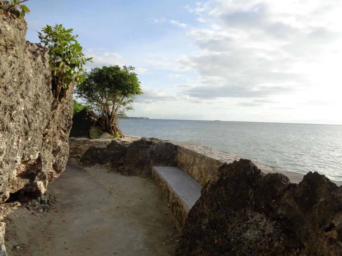 Guest house Sea Turtle House Moalboal