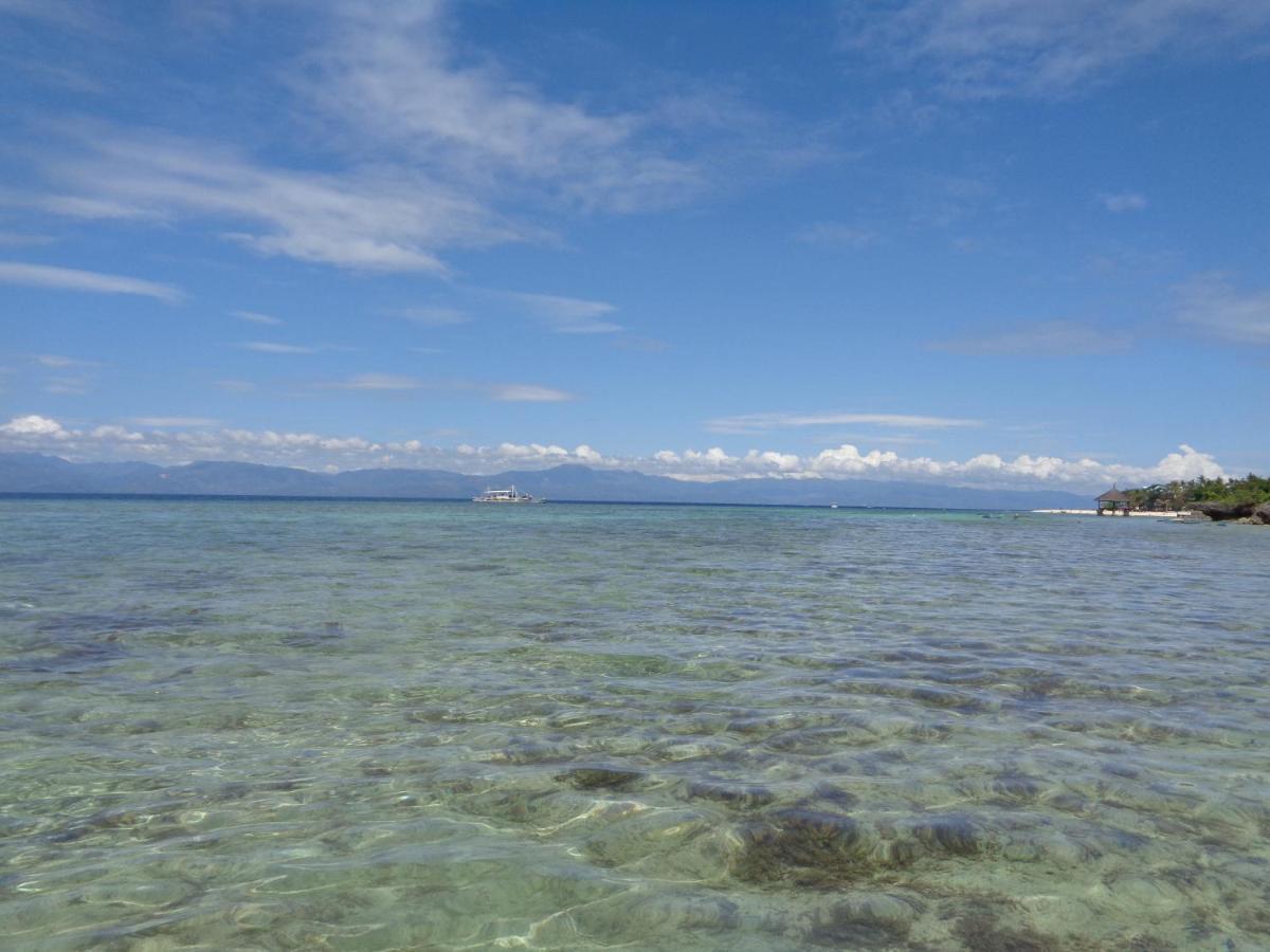 Sea Turtle House Guest house 3*