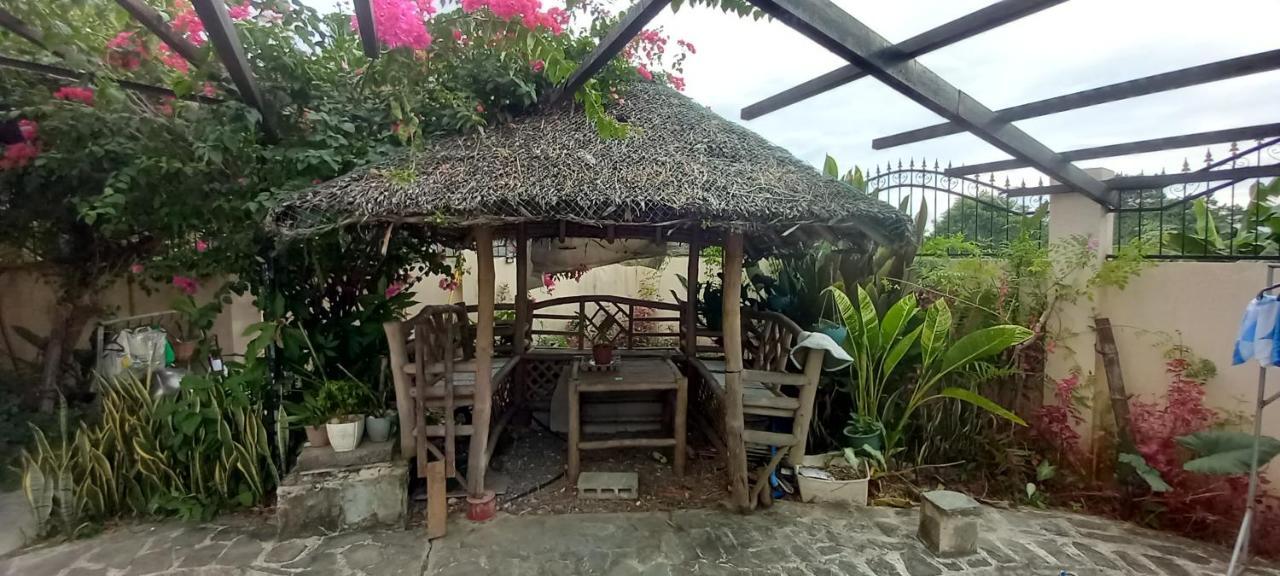 Soul Travellers Dagatan Castle Guest house