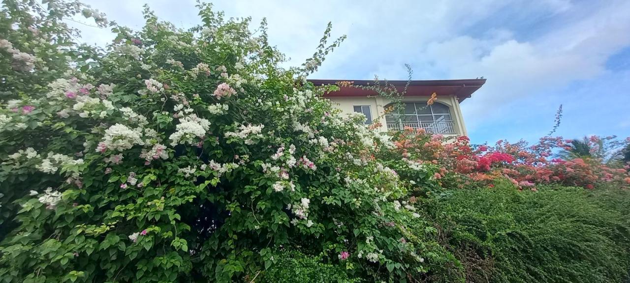 Guest house Soul Travellers Dagatan Castle *