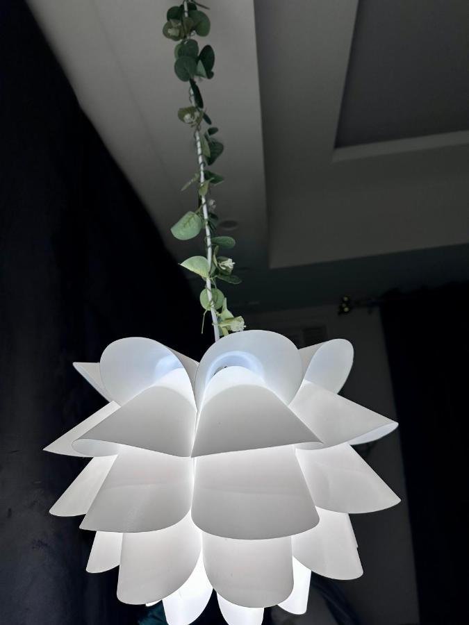 Aparthotel Queen Size In Solinea, *