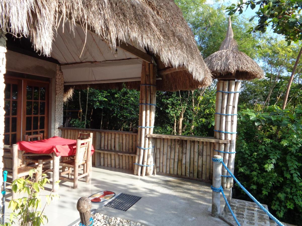 Sea Turtle House Guest house