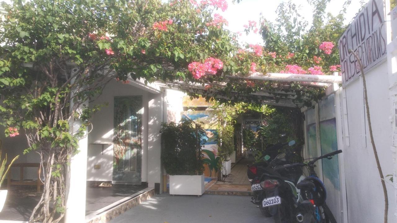 Gardenia House Rent