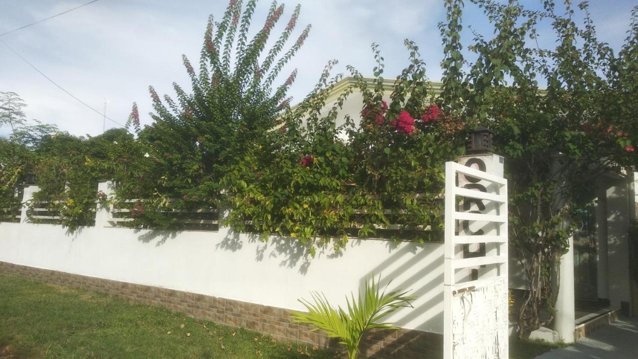Gardenia House Rent Guest house