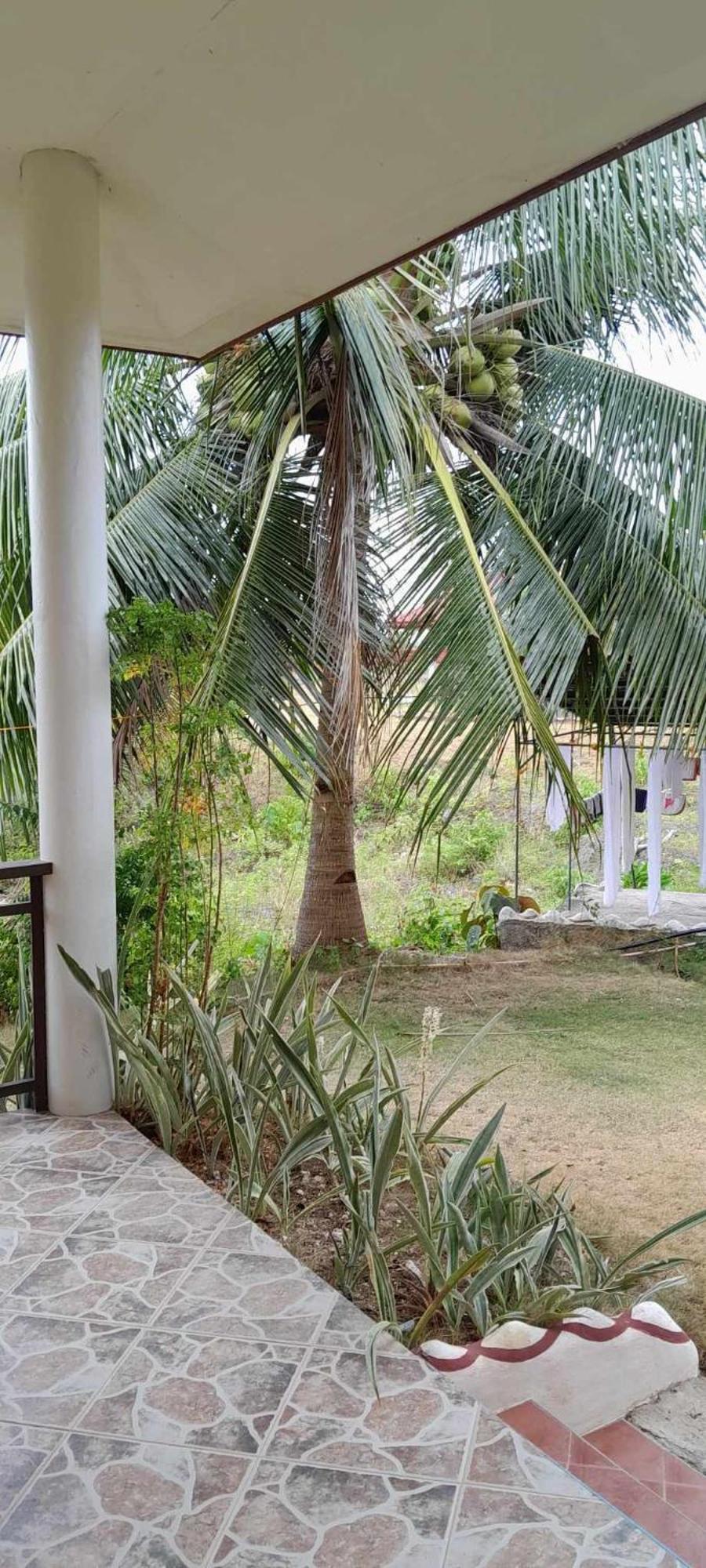 Resort Bonita Oasis Moalboal