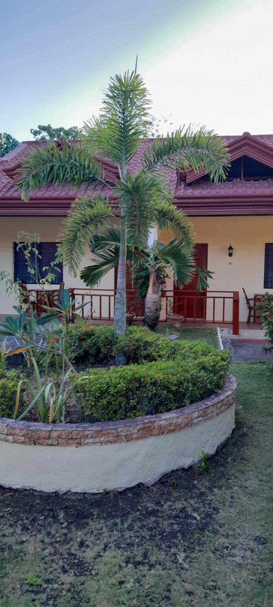 Bonita Oasis Resort Moalboal