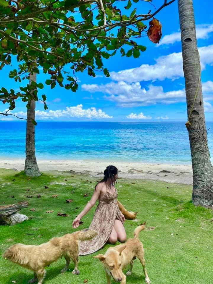 Homestay Camotes Palanas Himensulan